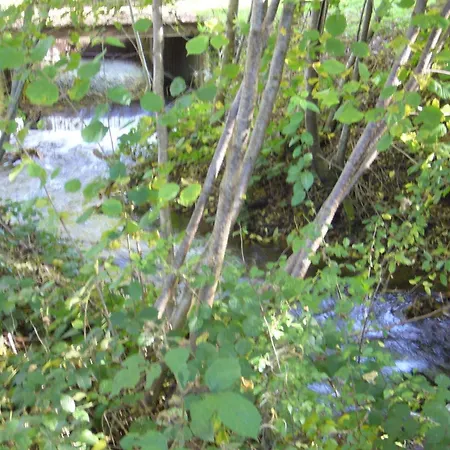 Maison Familiale Avec Jardin Clos, Cheminee, Animaux Acceptes Et Internet A - Fr-1-489-552 Ferrieres-sur-Sichon