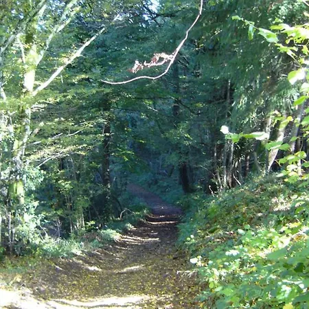 Maison Familiale Avec Jardin Clos, Cheminee, Animaux Acceptes Et Internet A - Fr-1-489-552 * Ferrières-sur-Sichon