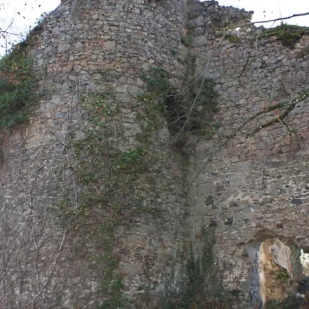 Maison Confortable A Ferrieres-sur-sichon, Animaux Acceptes - Fr-1-489-552 * Ferrieres-sur-Sichon